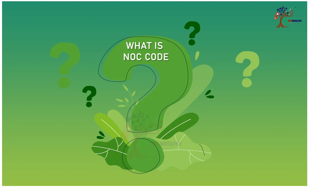 What is an NOC Code in Canada Immigration?