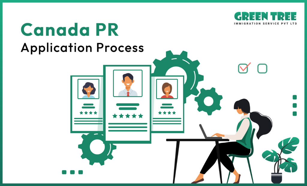 Canada PR application process step by step guide Green Tree