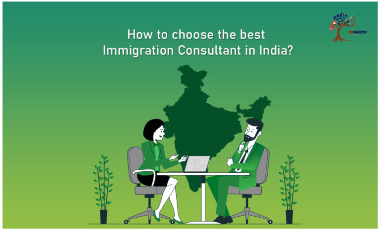 How to choose the best immigration consultant in India  Green Tree