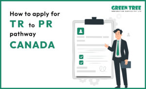 How to apply for TR to PR pathway Canada